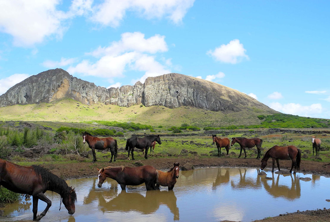 La carrière à moaï, Rano Raraku