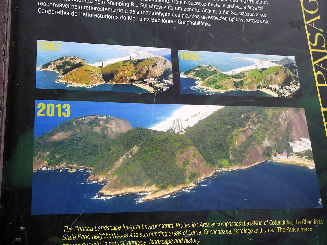 Les progrès de la reforestation suite à l'incendie des années 1980.