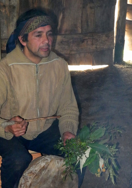 Le machi évoque les propriétés des plantes cueillies ce matin dans le jardin.