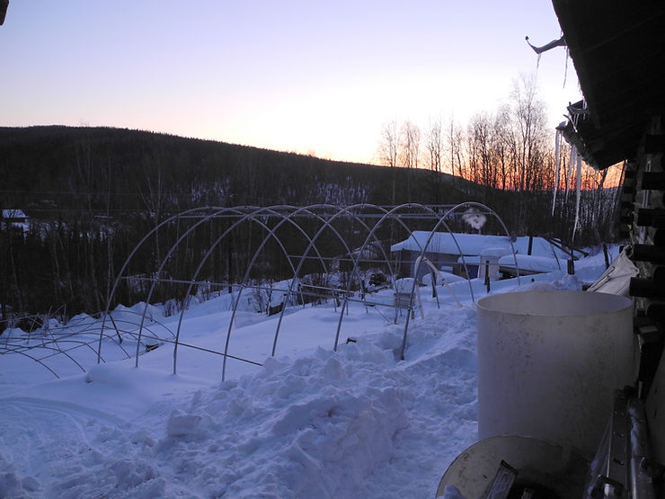 La grande serre d'Ed et Evelyn en hibernation.