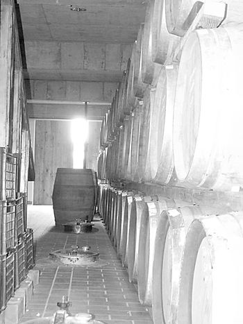 Salle des fûts d'un vigneron de Robertson