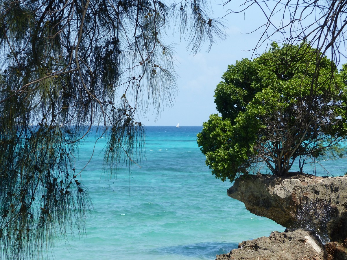 Zanzibar, île d&rsquo;espoir