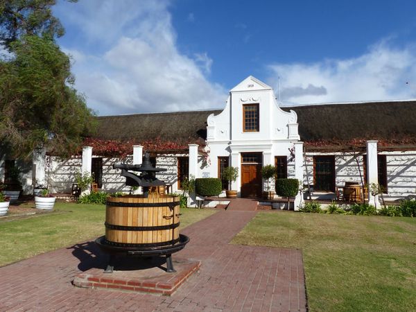 Cap sur les vins : Climat et vignobles en Afrique du&nbsp;Sud