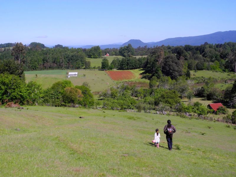 Mapuches, indigènes indignés
