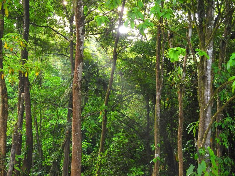 L’or véritable du Costa&nbsp;Rica