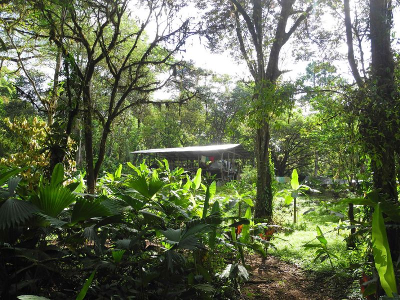 Le paradis est rempli de sales&nbsp;bêtes