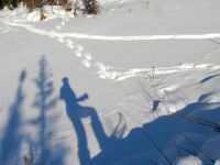 Un trappeur sachant&nbsp;trapper