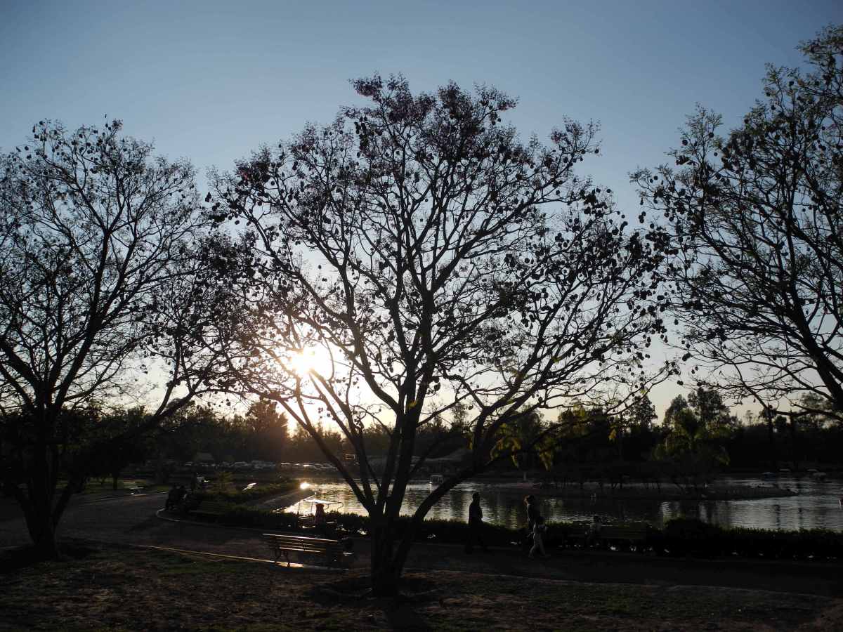 Spleen d&rsquo;un matin d&rsquo;automne et&nbsp;citadin