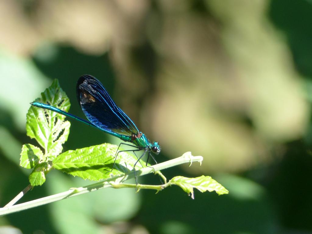 Un grain de&nbsp;sable